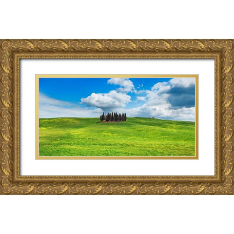 Cypresses- Val dOrcia- Tuscany (detail) Gold Ornate Wood Framed Art Print with Double Matting by Krahmer, Frank