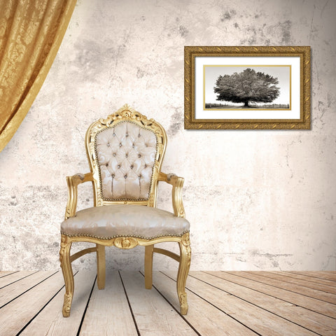 Un secolo di tramonti (BW) Gold Ornate Wood Framed Art Print with Double Matting by Fulvio, Ferrua