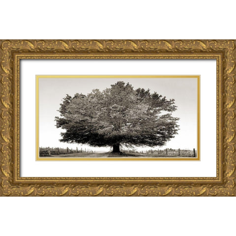 Un secolo di tramonti (BW) Gold Ornate Wood Framed Art Print with Double Matting by Fulvio, Ferrua
