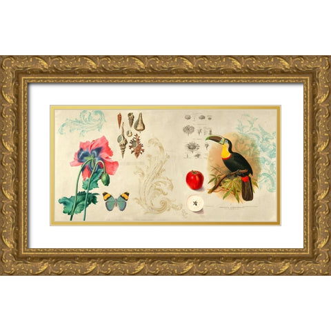 Cabinet of Curiosities II Gold Ornate Wood Framed Art Print with Double Matting by Joannoo