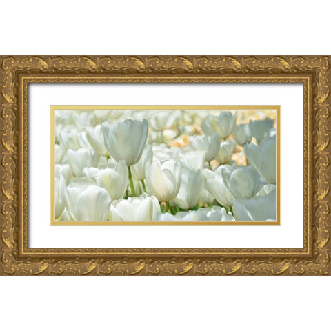 Field of White Tulips Gold Ornate Wood Framed Art Print with Double Matting by Villa, Luca