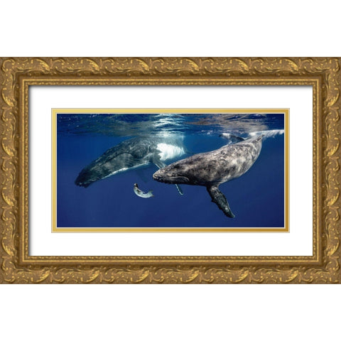 La Fille de la Mer (couleur) Gold Ornate Wood Framed Art Print with Double Matting by Moreau, Marc