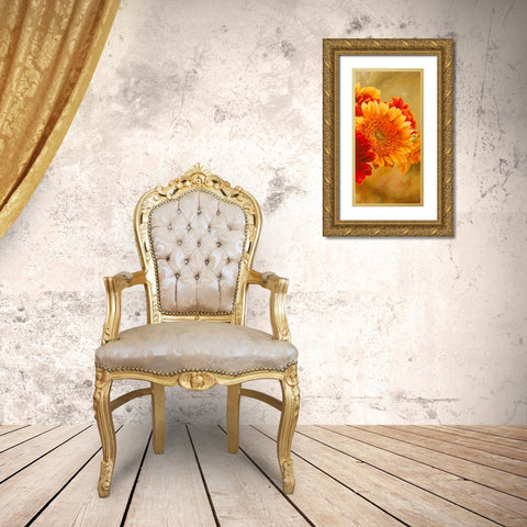 Gerbere nel sole III Gold Ornate Wood Framed Art Print with Double Matting by Biffi, Serena