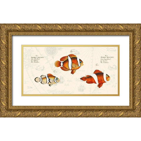 Tropical fish I- After Bloch Gold Ornate Wood Framed Art Print with Double Matting by Lamanche, Stef