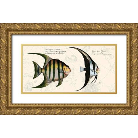 Tropical fish II-  After Bloch Gold Ornate Wood Framed Art Print with Double Matting by Lamanche, Stef