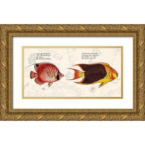Tropical fish III-  After Bloch Gold Ornate Wood Framed Art Print with Double Matting by Lamanche, Stef