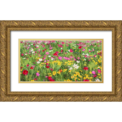 Field of Flowers Gold Ornate Wood Framed Art Print with Double Matting by Mei, Silvia