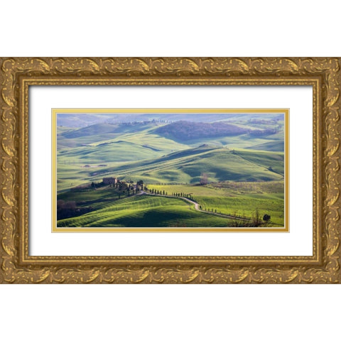 A road in Tuscany Gold Ornate Wood Framed Art Print with Double Matting by Ratsenskiy, Vadim