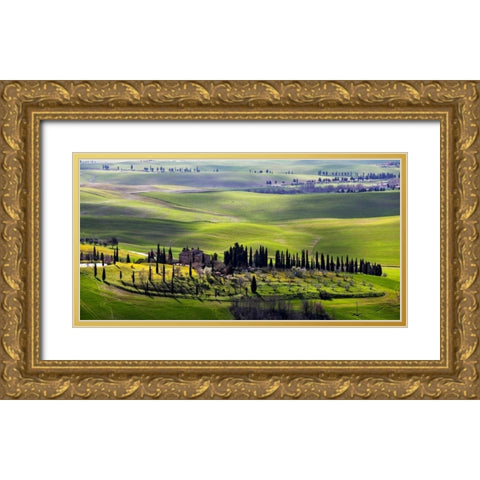 Country houses in Tuscany Gold Ornate Wood Framed Art Print with Double Matting by Ratsenskiy, Vadim