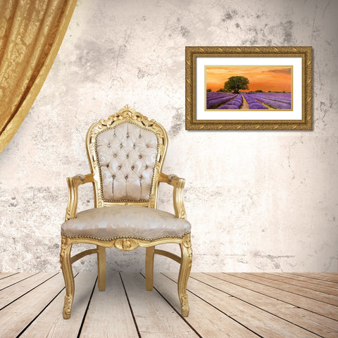 Campo al tramonto Gold Ornate Wood Framed Art Print with Double Matting by Sella, Valerio