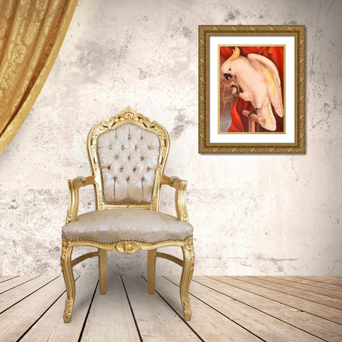 Great Sulphur-Crested Cockatoo Gold Ornate Wood Framed Art Print with Double Matting by James Whitley, Sayer
