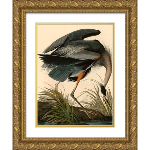 Great Blue Heron Gold Ornate Wood Framed Art Print with Double Matting by John James, Audubon
