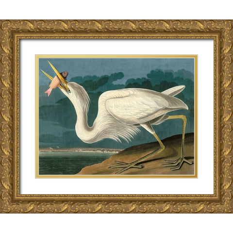 Great White Heron Gold Ornate Wood Framed Art Print with Double Matting by John James, Audubon
