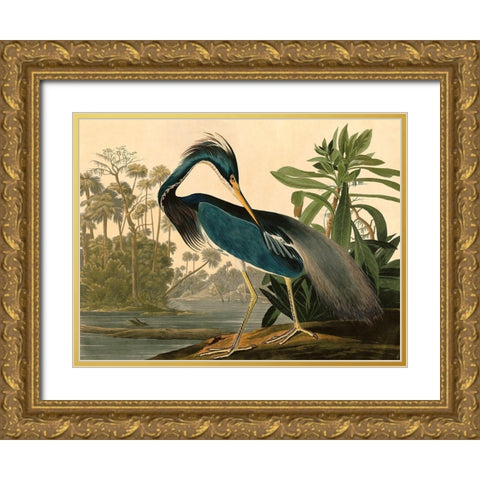 Louisiana Heron Gold Ornate Wood Framed Art Print with Double Matting by John James, Audubon