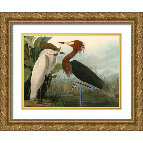Purple Heron Gold Ornate Wood Framed Art Print with Double Matting by John James, Audubon