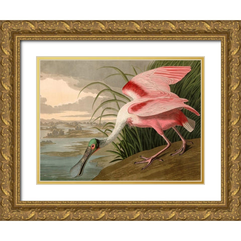 Roseate Spoonbill Gold Ornate Wood Framed Art Print with Double Matting by John James, Audubon