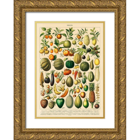 Fruits and Vegetables Gold Ornate Wood Framed Art Print with Double Matting by Millot, Adolphe