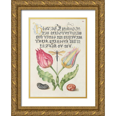 From the Model Book of Calligraphy-I Gold Ornate Wood Framed Art Print with Double Matting by Hoefnagel, Bocskay