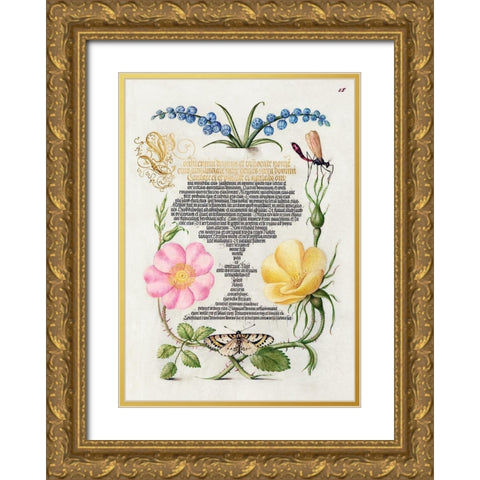 From the Model Book of Calligraphy-II Gold Ornate Wood Framed Art Print with Double Matting by Hoefnagel, Bocskay