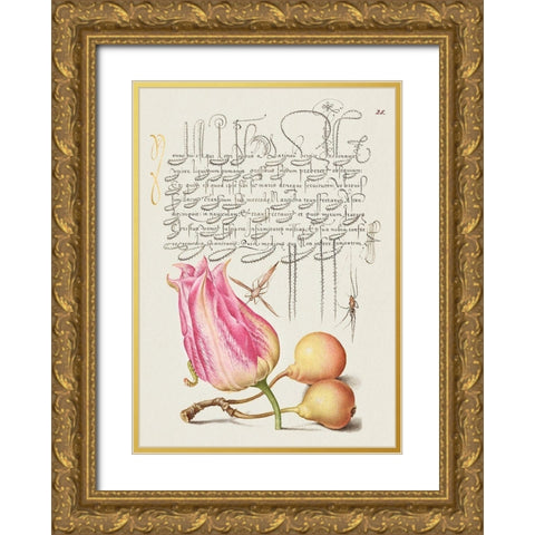 From the Model Book of Calligraphy-VII Gold Ornate Wood Framed Art Print with Double Matting by Hoefnagel, Bocskay