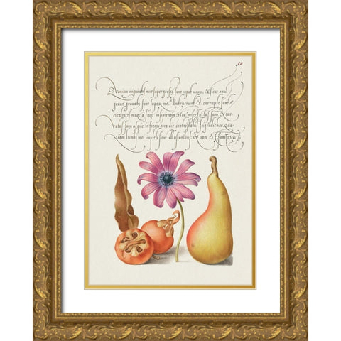 From the Model Book of Calligraphy-VIII Gold Ornate Wood Framed Art Print with Double Matting by Hoefnagel, Bocskay