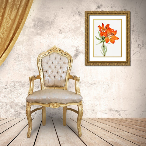 Red Lily-1923 Gold Ornate Wood Framed Art Print with Double Matting by Walcott, Mary Vaux