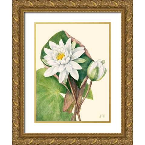 American Waterlily-1920 Gold Ornate Wood Framed Art Print with Double Matting by Walcott, Mary Vaux