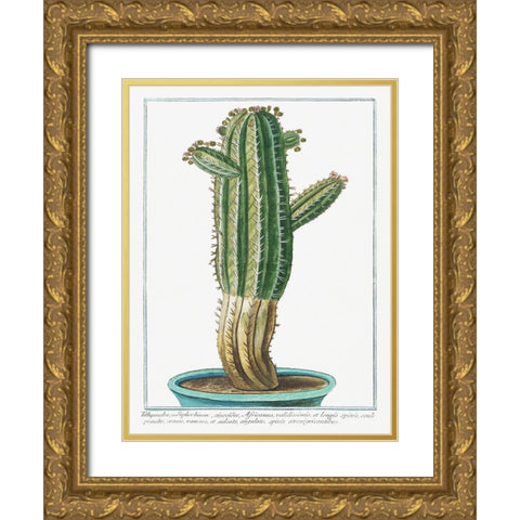 Tithymalus Gold Ornate Wood Framed Art Print with Double Matting by Bonelli, Giorgio