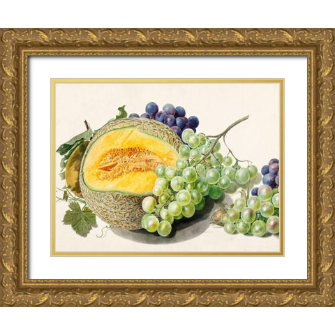 Fruits II Gold Ornate Wood Framed Art Print with Double Matting by van Huysum, Michiel