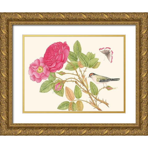 A bird on rose branch Gold Ornate Wood Framed Art Print with Double Matting by Anonymous
