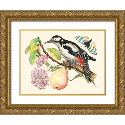 A bird perched on a branch I Gold Ornate Wood Framed Art Print with Double Matting by Anonymous