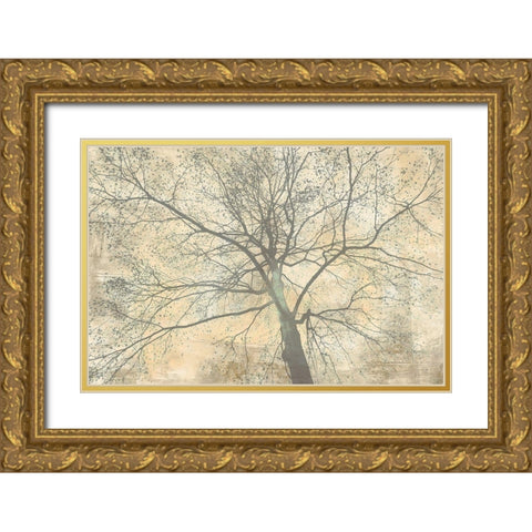 Below My Tree II Gold Ornate Wood Framed Art Print with Double Matting by Aprile, Alessio
