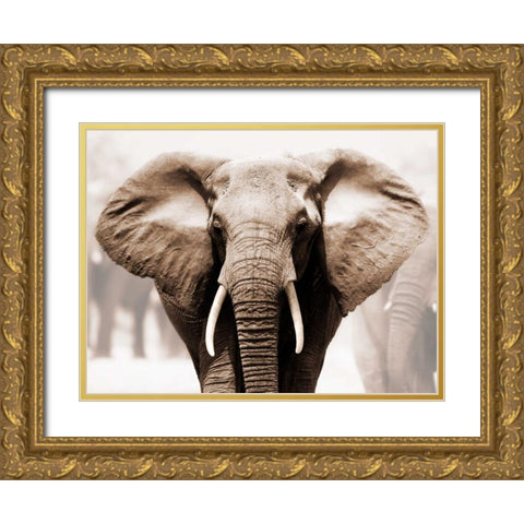 African Elephant Gold Ornate Wood Framed Art Print with Double Matting by Anonymous