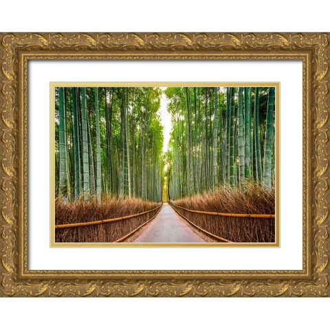 Bamboo Forest- Kyoto- Japan Gold Ornate Wood Framed Art Print with Double Matting by Pangea Images