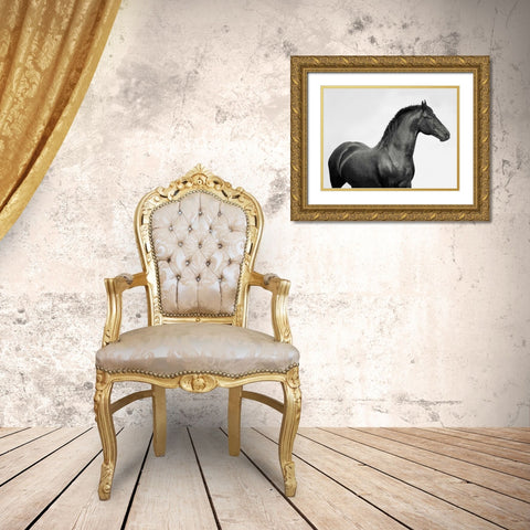 King Mamba- Stallion Gold Ornate Wood Framed Art Print with Double Matting by Pangea Images