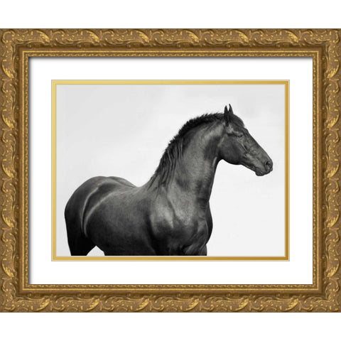 King Mamba- Stallion Gold Ornate Wood Framed Art Print with Double Matting by Pangea Images