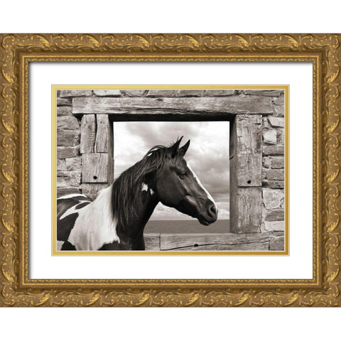 Painted Horse (BW) Gold Ornate Wood Framed Art Print with Double Matting by Lauren, Julian
