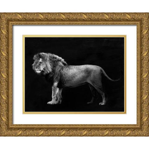 Panthera Leo Gold Ornate Wood Framed Art Print with Double Matting by Julian, Lauren