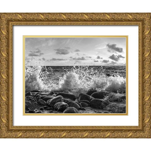 Waves crashing, Point Reyes, California (BW) Gold Ornate Wood Framed Art Print with Double Matting by Pangea Images