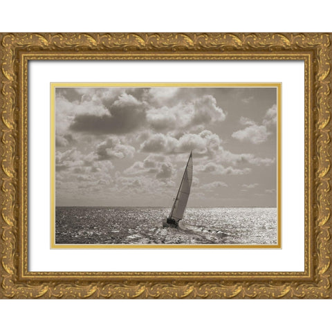 Sailing Gold Ornate Wood Framed Art Print with Double Matting by Pangea Images