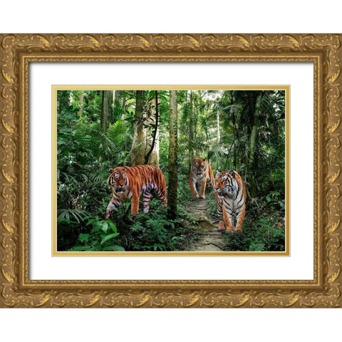 Bengal Tigers Gold Ornate Wood Framed Art Print with Double Matting by Pangea Images