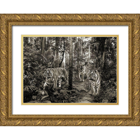 Bengal Tigers (BW) Gold Ornate Wood Framed Art Print with Double Matting by Pangea Images