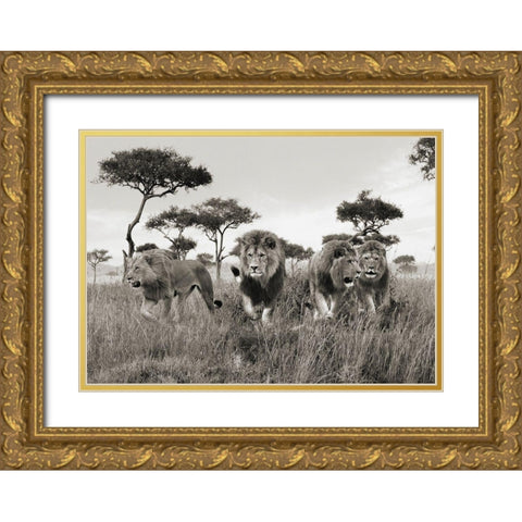 Brothers- Masai Mara- Kenya Gold Ornate Wood Framed Art Print with Double Matting by Pangea Images