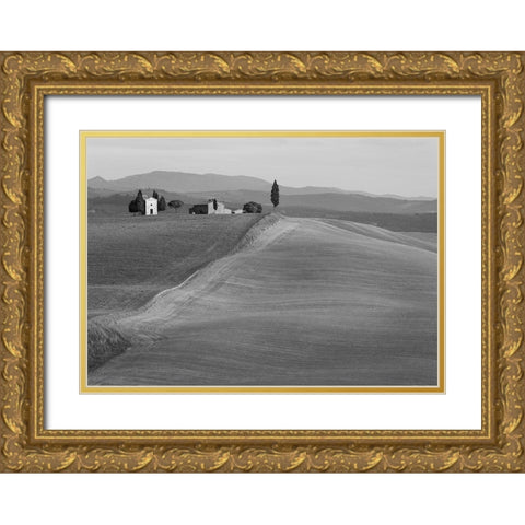 Val dOrcia-Siena-Tuscany (BW) Gold Ornate Wood Framed Art Print with Double Matting by Pangea Images