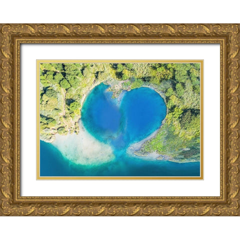 Heart Shaped Atoll-Fiji Gold Ornate Wood Framed Art Print with Double Matting by Pangea Images