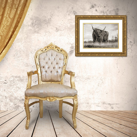 Scottish Highland Cattle (BW) Gold Ornate Wood Framed Art Print with Double Matting by Pangea Images