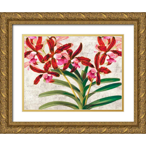 Botanique Moderne I Gold Ornate Wood Framed Art Print with Double Matting by Dellal, Remy