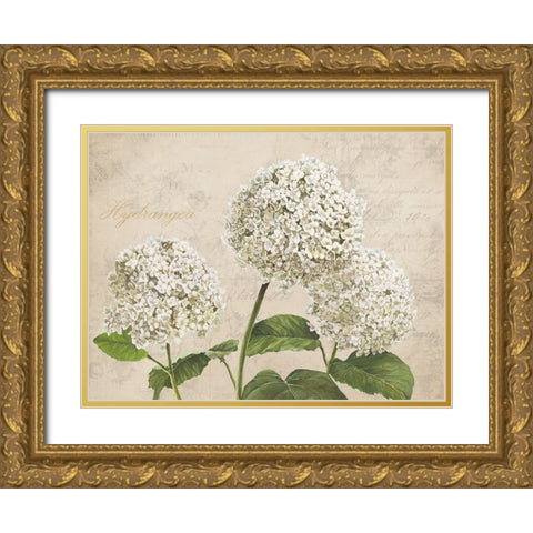 Hydrangeas I (Neutre) Gold Ornate Wood Framed Art Print with Double Matting by Remy, Dellal