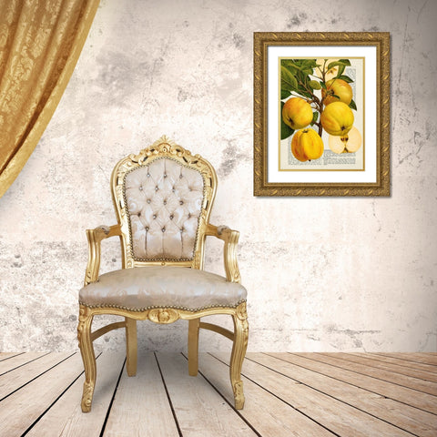 Fruits de saison, Pommes Gold Ornate Wood Framed Art Print with Double Matting by Dellal, Remy
