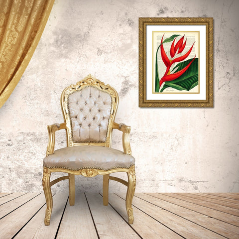 Vintage Botany I Gold Ornate Wood Framed Art Print with Double Matting by Dellal, Remy